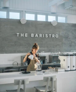 Brewista Artisan Electric Gooseneck Kettle - Pearl White -Kitchen Appliances Shop IMG 2932newlogo