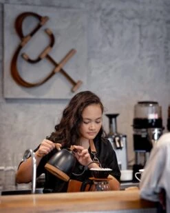 Brewista Artisan Electric Gooseneck Kettle - Matte Black -Kitchen Appliances Shop IMG 3942 newlogo