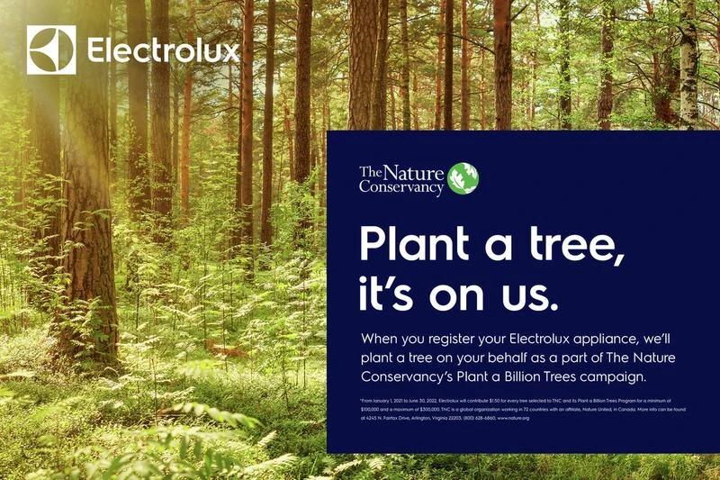 Electrolux 30" Front Control Freestanding Gas Range 12 Electrolux 30" Front Control Freestanding Gas Range - Image 10